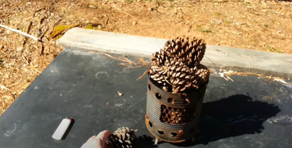 Can You Burn Pine Needles Or Pine Cones