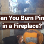 Can You Burn Pine in a Fireplace?