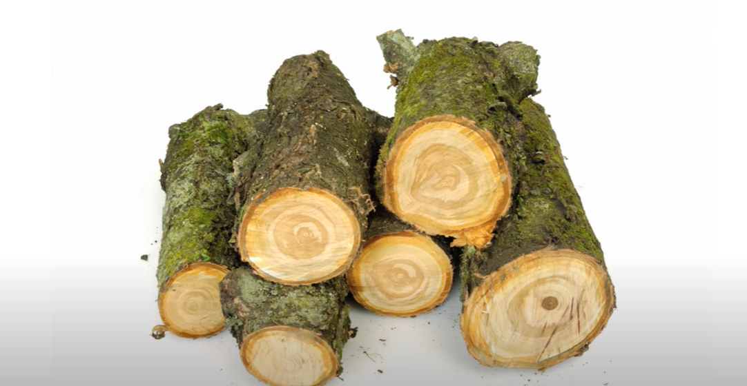 What Is the Best Wood to Burn in a Fireplace? FireplaceWiki