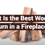 What Is the Best Wood to Burn in a Fireplace?