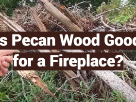 Is Pecan Wood Good for a Fireplace?
