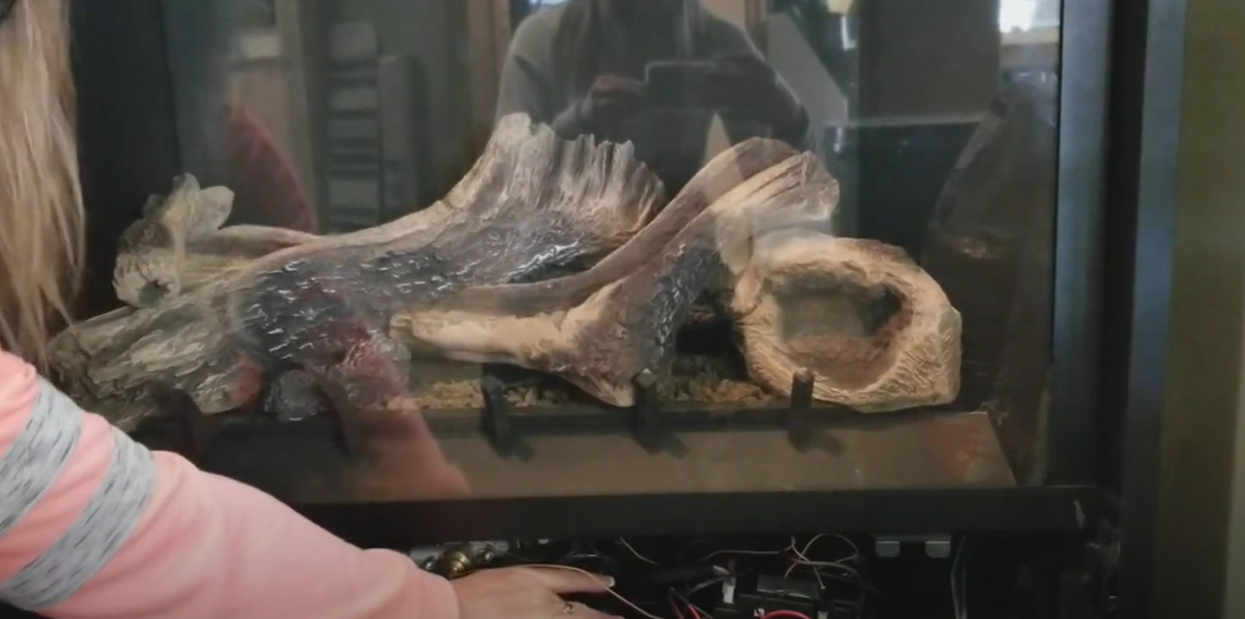 Why Is My Electric Fireplace Beeping? FireplaceWiki